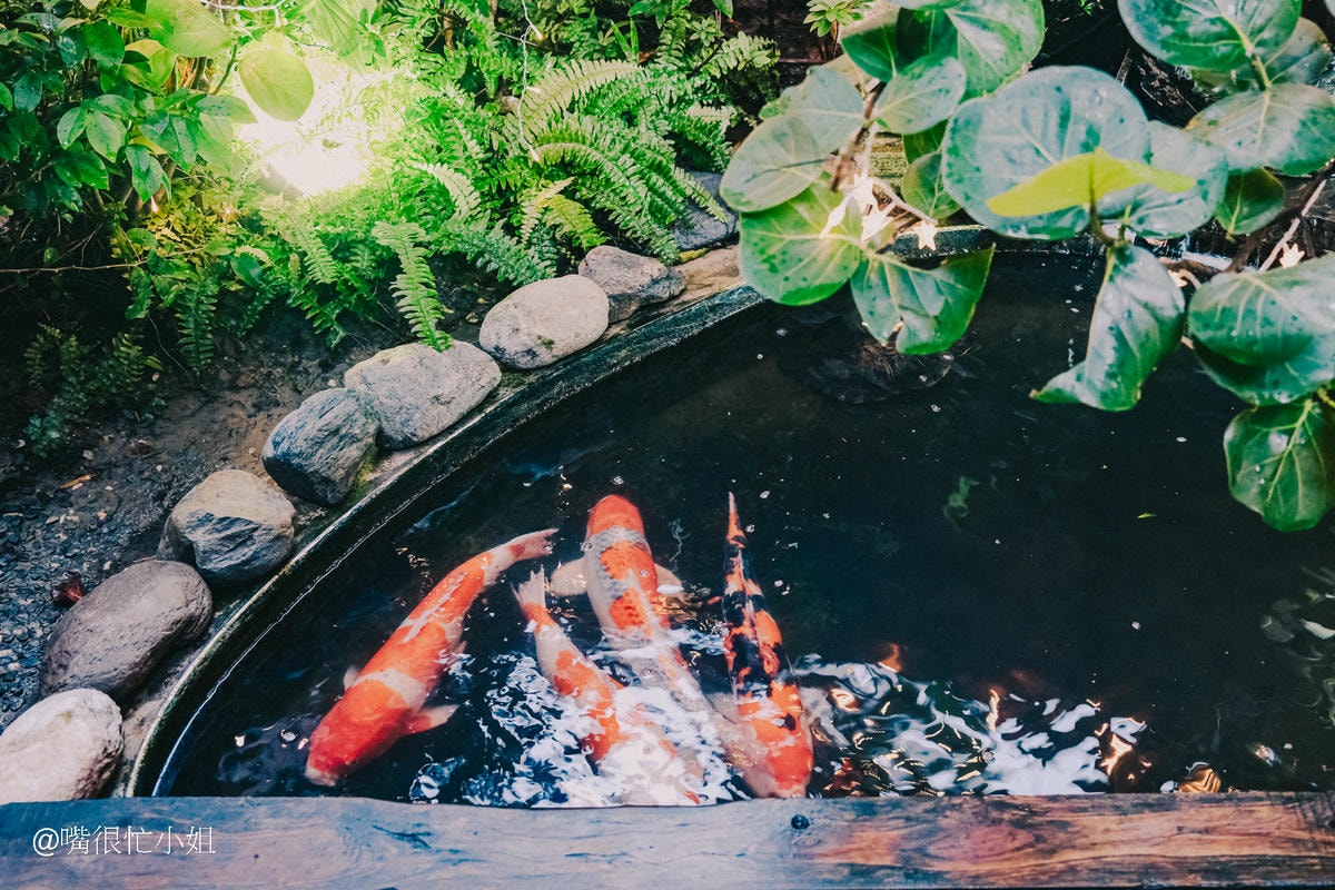 新竹居酒屋推薦|京町家日式串燒居酒屋 附2025最新菜單 - 第8張圖 新竹居酒屋推薦|京町家日式串燒居酒屋 附2025最新菜單