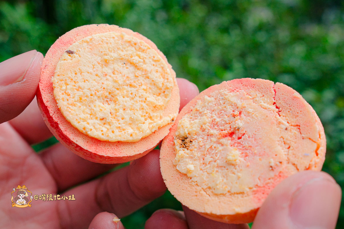 彰化伴手禮推薦｜姚君子甜點製造所馬卡龍─明太子之戀、杜拜巧克力開心果、紅豆麻糬三款期間限定一次收